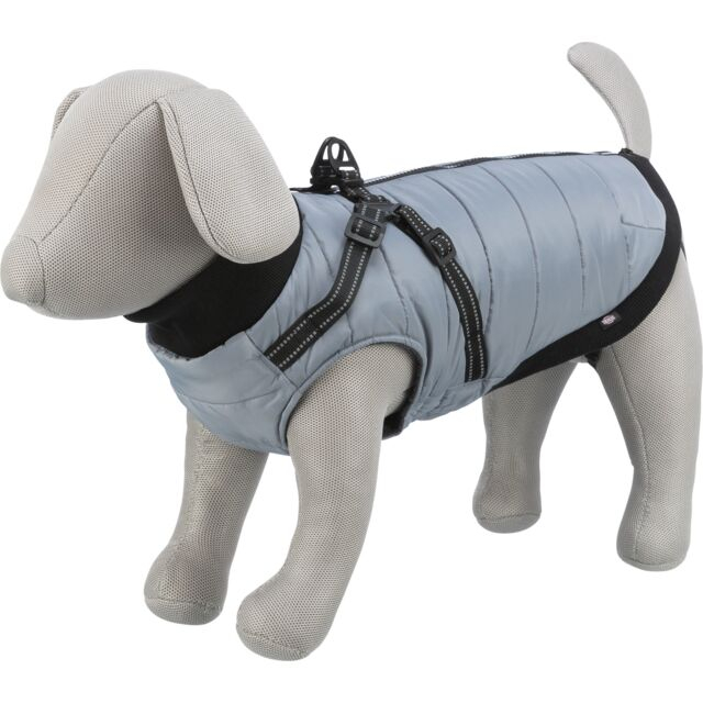  Hainuta Cu Ham Pontis, XS 27 cm, Gri, 680341 [1]
