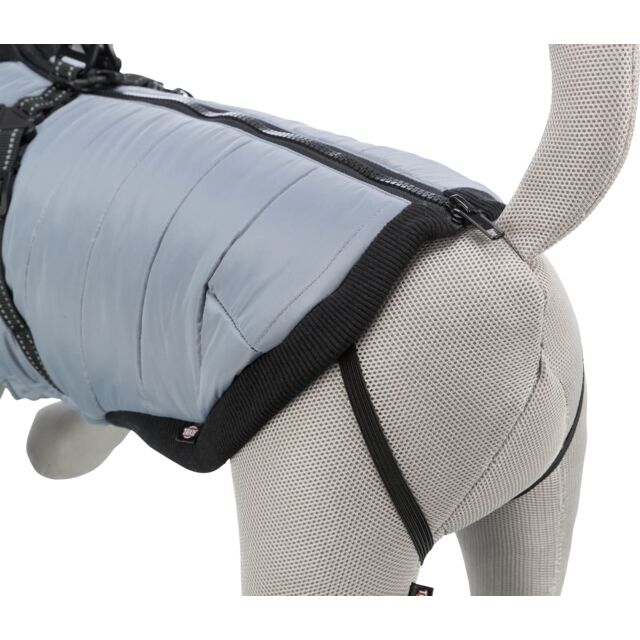  Hainuta Cu Ham Pontis, XS 27 cm, Gri, 680341 [4]