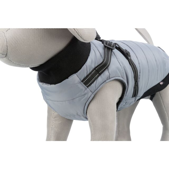  Hainuta Cu Ham Pontis, XS 27 cm, Gri, 680341 [2]