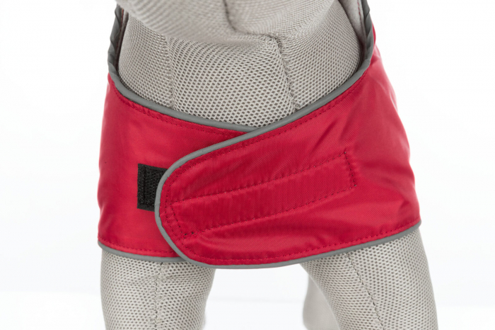  Hainuta Orleans, M: 45 cm, Rosu, 680314 [3]
