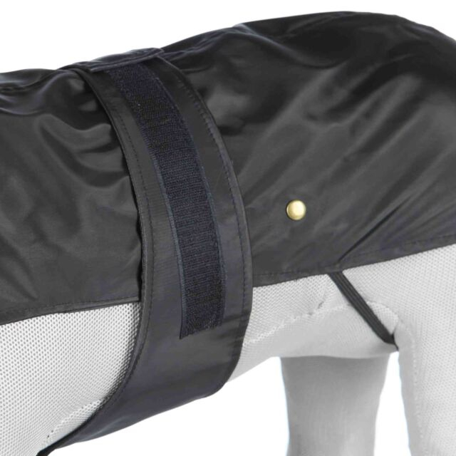  Hainuta Paris L 55 cm Negru 30506 [3]