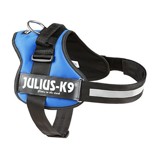 Ham Julius-K9 1 L 66-85 cm/50 mm Albastru 15042 [2]