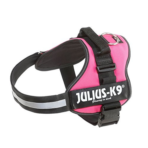Ham Julius-K9 1 L 66-85 cm/50 mm Fuchsia 15048 [2]