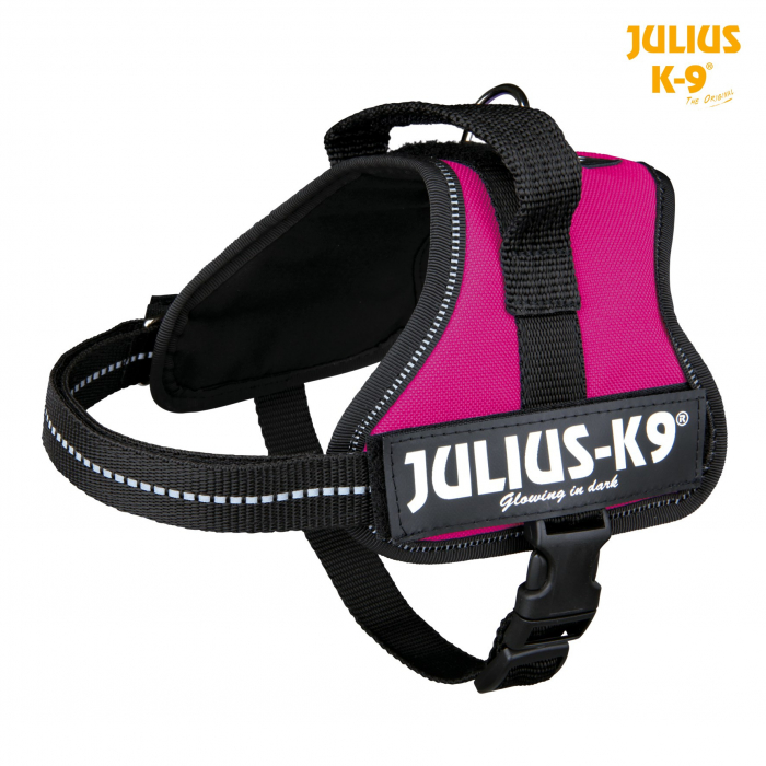 Ham Julius-K9 Mini-Mini/S 40-53 cm/22 mm Fuchsia(Mov) 15018 [2]