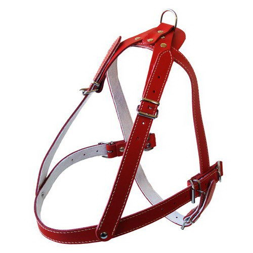 Ham L5 Piele - Sanie 79-92 cm/25 mm Negru [1]