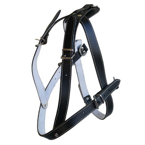 Ham L5 Piele - Sanie 79-92 cm/25 mm Negru [2]