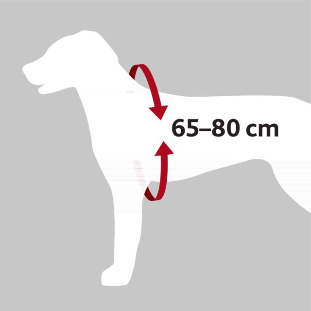 Ham Si Centura Auto Pentru Caini, L: 65-80 cm/23 mm, Negru, 12857	 [3]