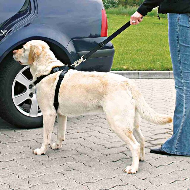 Ham Si Centura Auto Pentru Caini, L: 70-90 cm/25 mm, Negru, 1292	 [3]