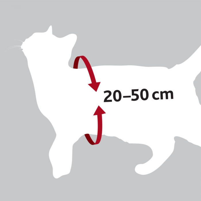 Ham Si Centura Auto Pentru Pisici, 20-50 cm/15 mm, Rosu, 1294	 [8]
