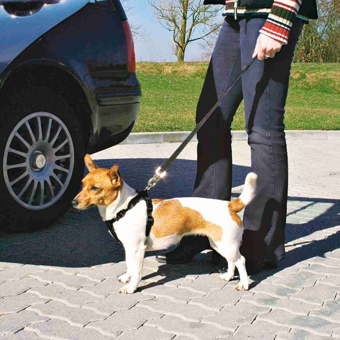 Ham Si Centura Auto Pentru Caini, XS: 20-50 cm/15 mm, Negru, 1288	 [3]