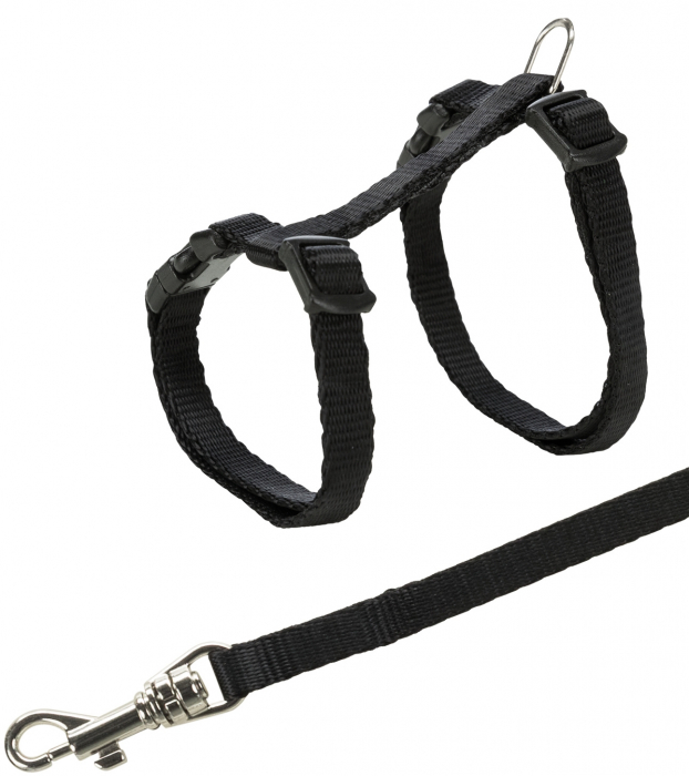 Ham Si Lesa Pentru Pisici Junior, 19-31 cm/8 mm, 1.20 m, Diferite Culori,  4182 [2]
