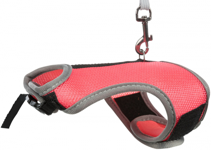Ham Si Lesa Pentru Porcusori de Guineea, Soft, 18-25 cm/1.20 m, Diferite Culori, 61512 [2]