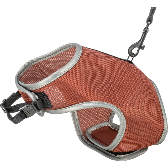 Ham si Lesa Soft, Elastica, 24-42 cm/1.20 m, Ruginiu, 41899 [1]