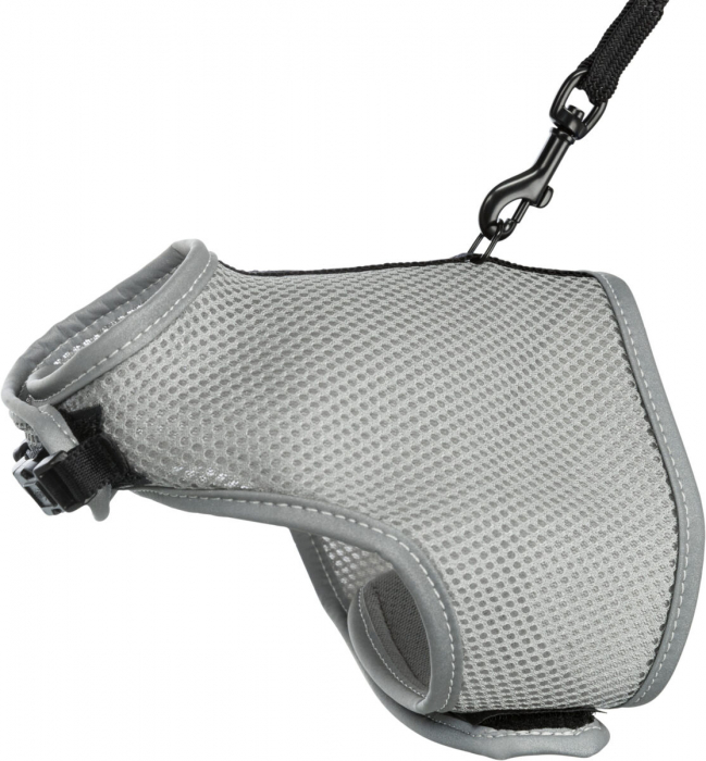 Ham Si Lesa Soft Pentru Pisici, 24-42 cm, 1.20 m, Diferite Culori, 41896 [2]