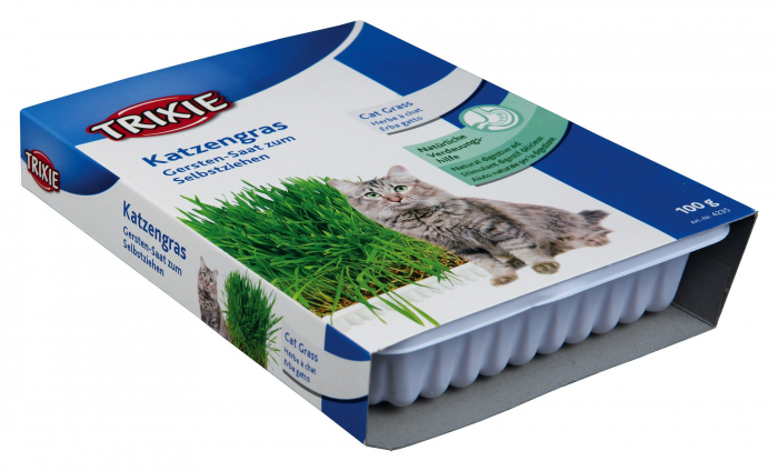 Iarba Din Seminte De Orz, In Castron Plastic, 100 g, 4235	 [2]