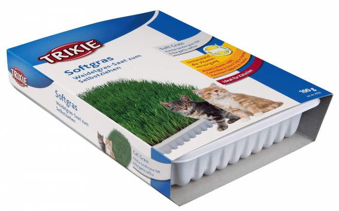 Iarba Soft, In Castron Plastic, 100 g, 4232	 [2]