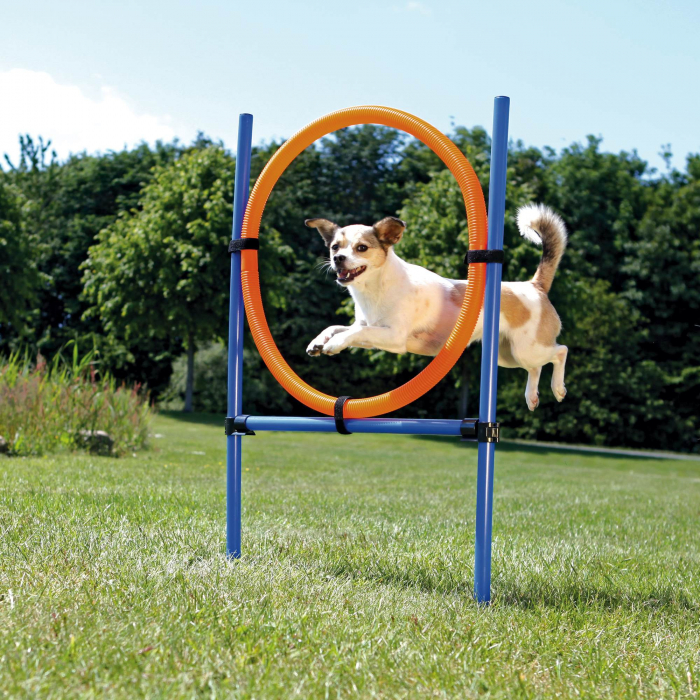 Inel Pentru Caini, Fun Agility, Plastic, 115x3 cm, 65 cm, 3208	 [2]