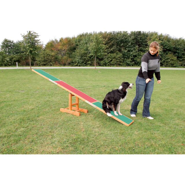 Balansoar Pentru Caini, Fun Agility, 300x54x34 cm, Pana la 80 kg, 3213	 [4]