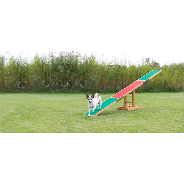 Balansoar Pentru Caini, Fun Agility, 300x54x34 cm, Pana la 80 kg, 3213	 [2]