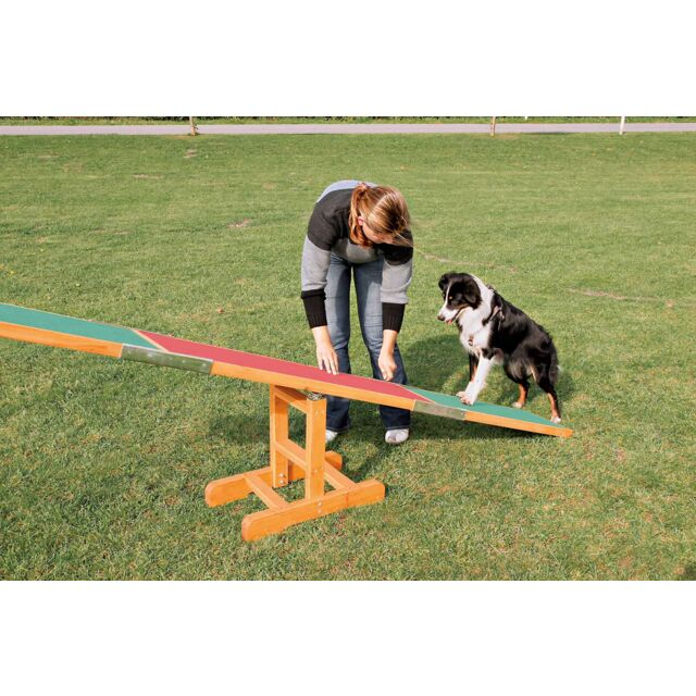Balansoar Pentru Caini, Fun Agility, 300x54x34 cm, Pana la 80 kg, 3213	 [3]