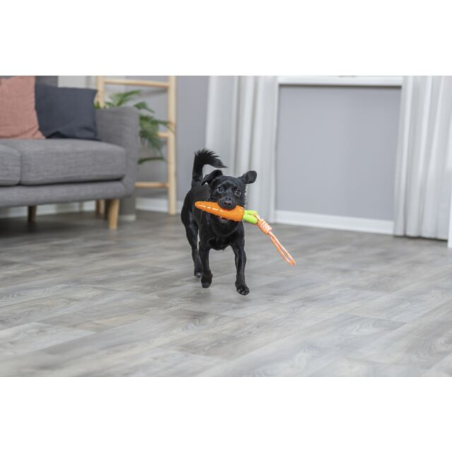 Jucarie Pentru Caini, Morcov Pe Sfoara, TPR, 20cm/39 cm, 34708 [3]