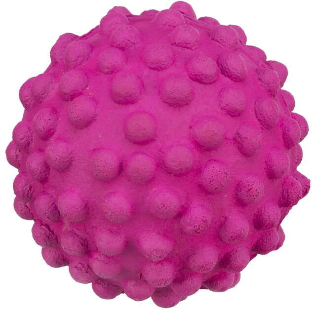Jucarie Pentru Caini, Minge Arici, Plutitoare, 7 cm, Diverse Culori, 3461 [2]