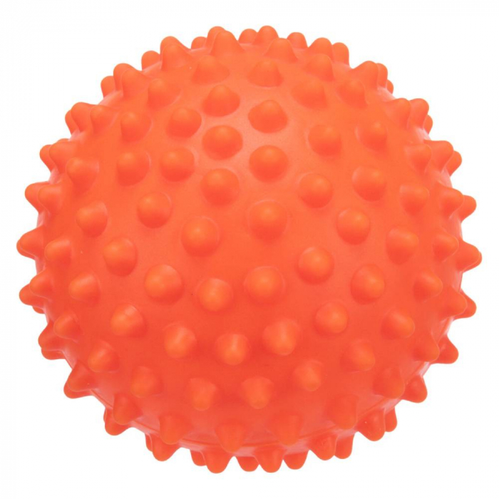 Jucarie Pentru Caini, Minge Arici, Vinil, Fara Sunet, 16 cm, 3419 [2]