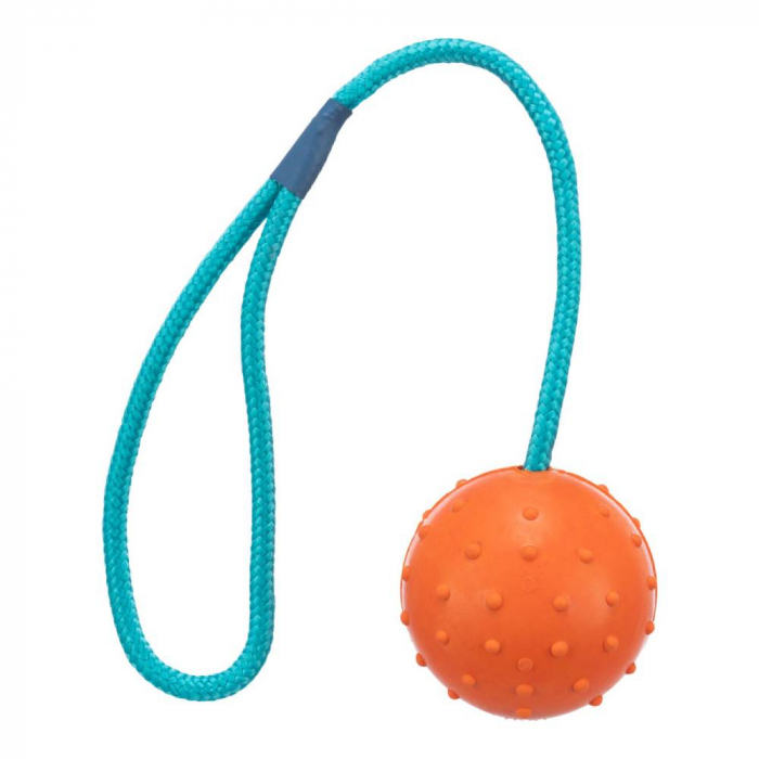 Jucarie Pentru Caini, Minge Cauciuc Pe Sfoara, 7/30 cm, 3305 [2]