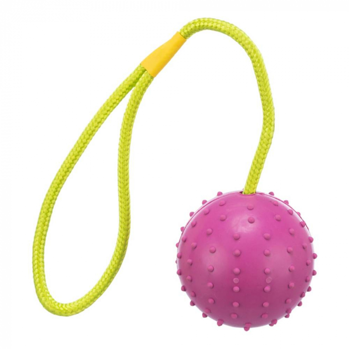 Jucarie Pentru Caini, Minge Cauciuc Pe Sfoara, 7/30 cm 3308 [2]