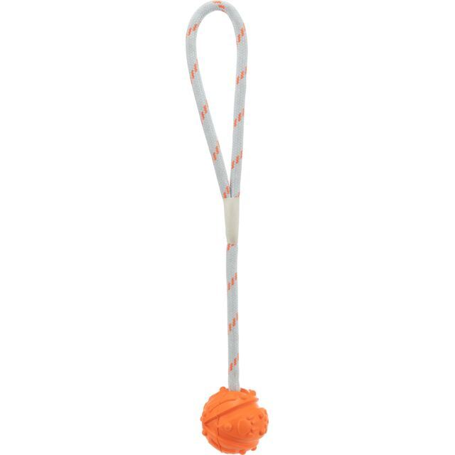 Jucarie Pentru Caini, Minge Pe Sfoara, Plutitoare, 4.5 cm/35 cm, 33481 [2]