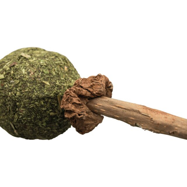 Jucarie Pentru Pisici, Matatabi Cu Minge De Catnip, 11 cm, 42430 [2]