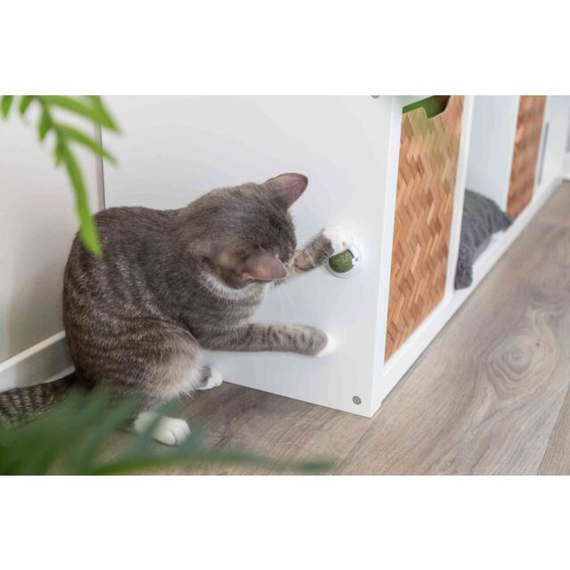 Jucarie Pentru Pisici, Minge Catnip Cu Suport, 5 cm, 42242 [6]