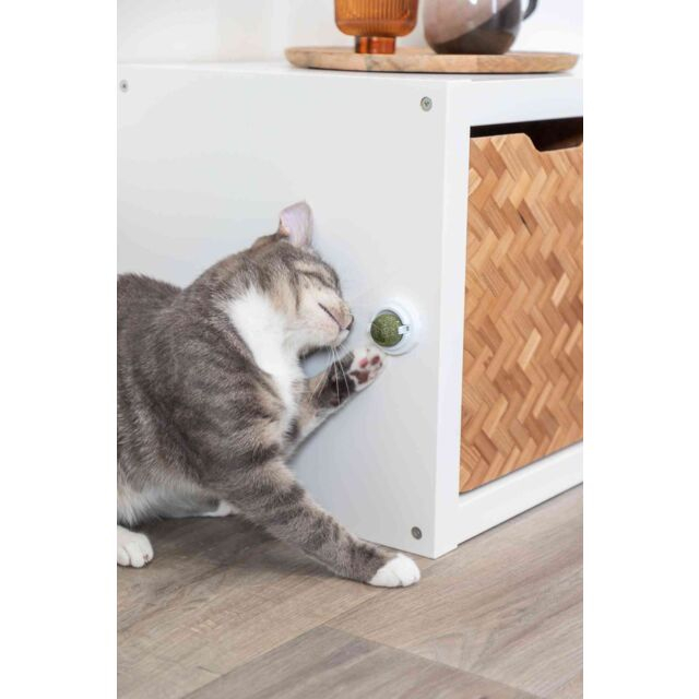 Jucarie Pentru Pisici, Minge Catnip Cu Suport, 5 cm, 42242 [7]