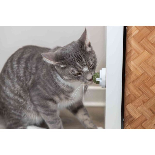 Jucarie Pentru Pisici, Minge Catnip Cu Suport, 5 cm, 42242 [5]