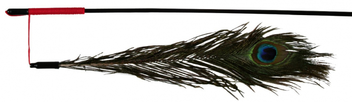 Jucarie Pentru Pisici, Undita Cu Pana De Paun, 47 cm 4509	 [1]