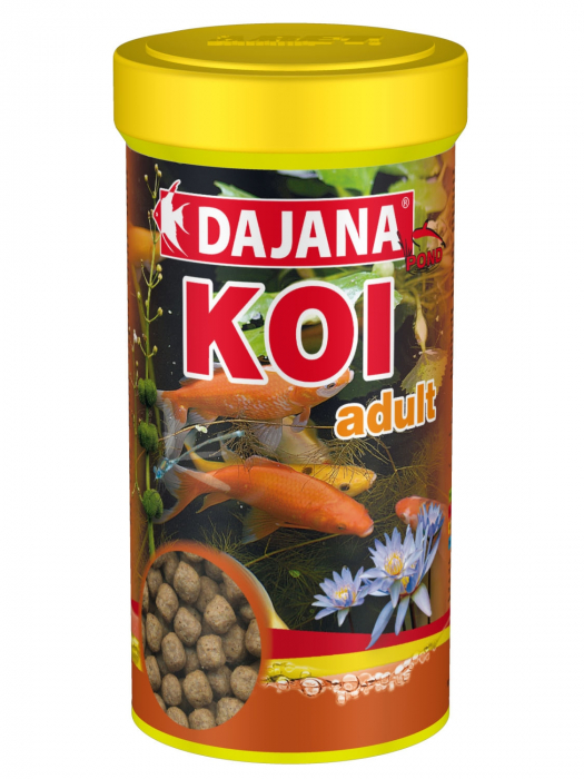Koi Adult 1000 ml Dp305D [3]