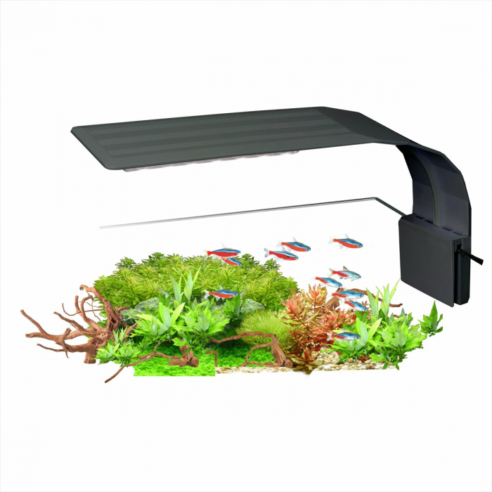 Lampa Pentru Acvariu, AquaLED Nano Black, 7W, LNB7	 [1]