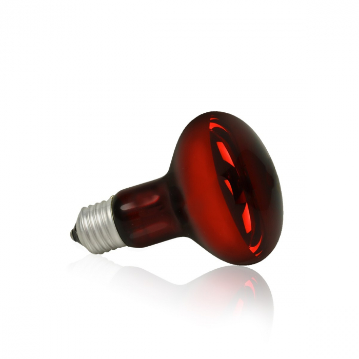 Bec Rosu Pentru Terariu, Caldura Nocturna, 25W, BR01	 [2]