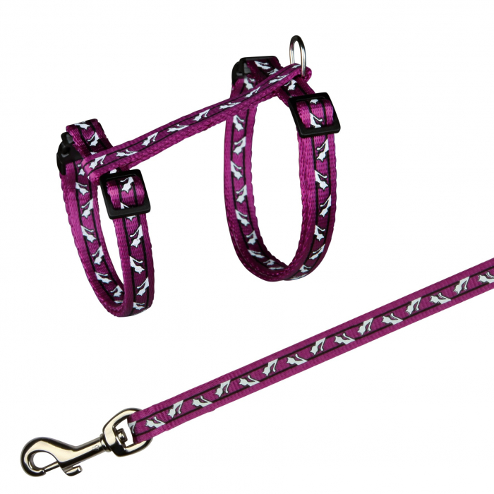 Ham Si Lesa Pentru Pisici, 27-45 cm/10 mm, 1.20 m, Diverse Culori, 4142 [5]
