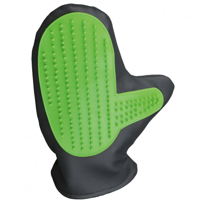 Manusa Pentru Periat Rozatoare, 11x21 cm, Verde/Gri, 6290	 [2]