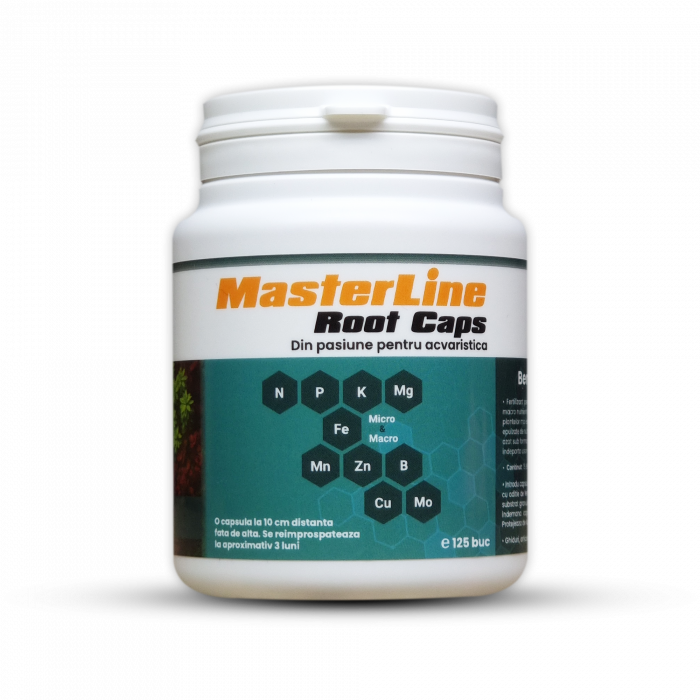 MasterLine Root Caps (125 buc) [2]