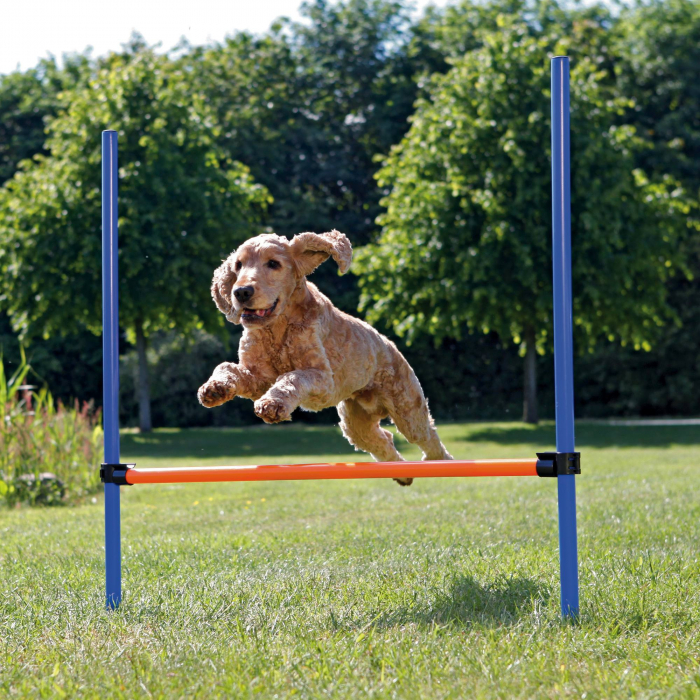 Obstacol Pentru Caini, Fun Agility, Plastic, 123x115 cm, 3207	 [2]