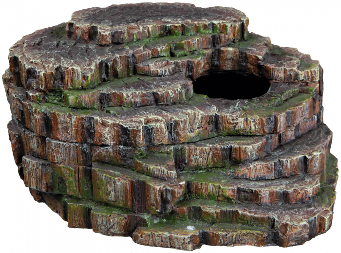 Pestera Sarpelui, 26x20x13 cm, 76199 [3]