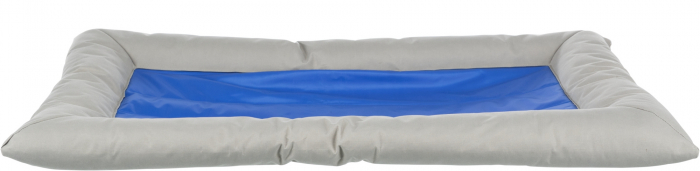 Saltea Racoritoare Cool Dreamer, 90 x 55 cm, 28782 [4]