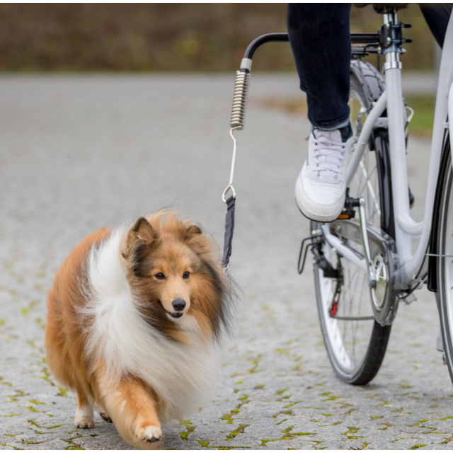 Set de Bicicleta pentru Caini 1287 [2]