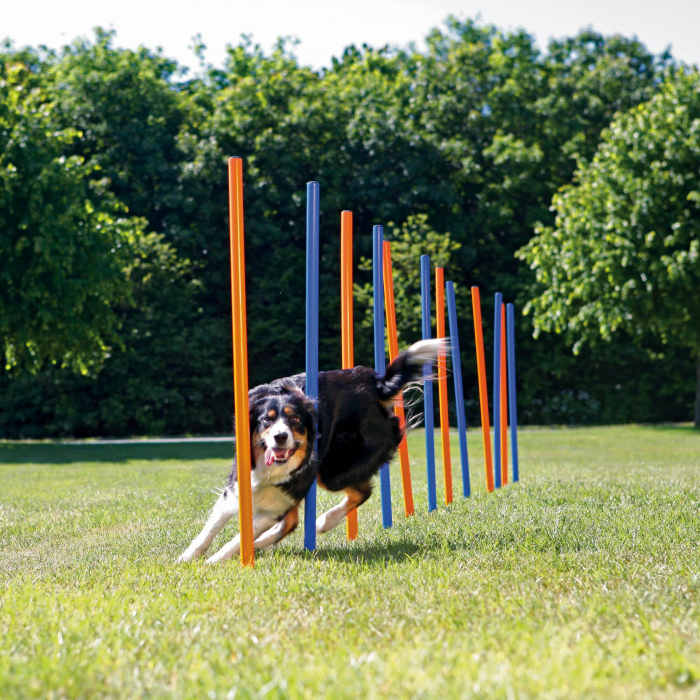 Slalom Pentru Caini, Fun Agility, Plastic, 3x115 cm, 12 buc, 3206	 [2]