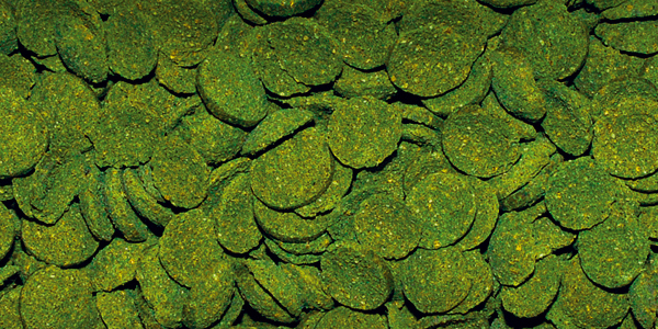 Spirulina Wafers, 250 ml, DP060B [2]
