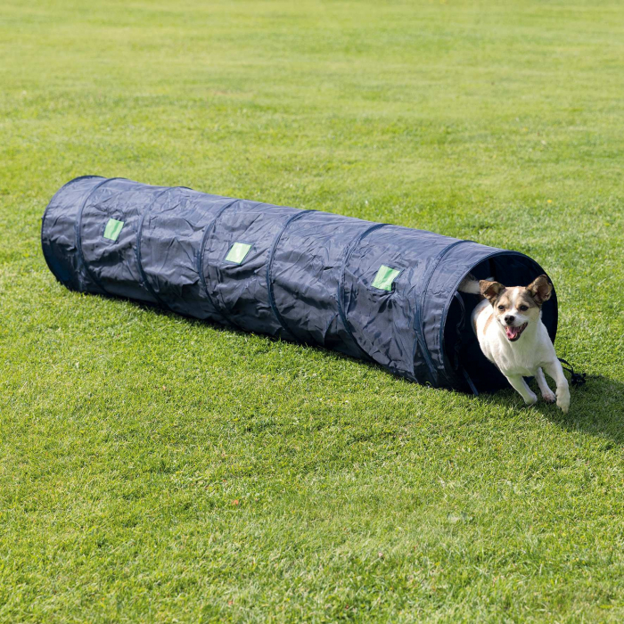 Tunel Mini Pentru Caini, Fun Agility, 40 cm/2 m, Albastru, 3210	 [2]