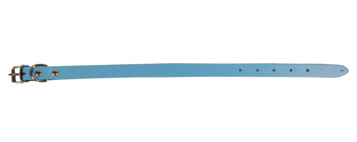 Zgarda L1 1.6/40 cm - Simplu - Albastru [2]