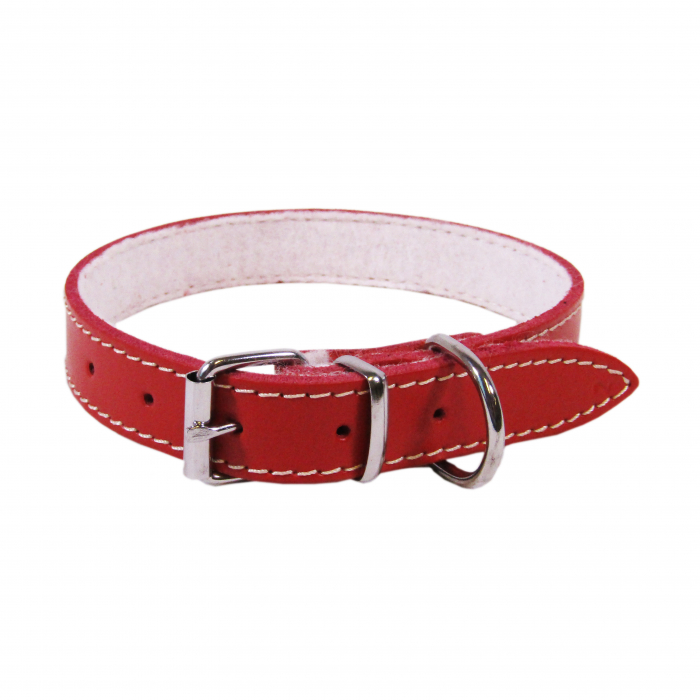 Zgarda L2 2.0/45 cm - Pasla Rosu [1]